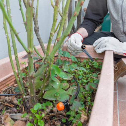 Ibotec Rega Gota a gota | Kit goutte à goutte Maroc | Kit arrosage & irrigation goutte à goutte au MAroc par Plantopia MAroc | نظام الري الموضعي للنباتات المنزلية في المغرب | بيع جهاز السقي الموضعي بالتنقيط في المغرب للنباتات في محبق اصيص او في الارض