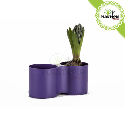 pot & contenant de plantes pour bureau, cuisine et chambre d'enfant au Maroc | Pot violet Maroc | Pot enfant Maroc | Mobilier de maison au Maroc | محبق نباتات للأطفال و المطبخ و المكتب في المغرب | حاوي جمع الاشياء | اصيص مزدوج لون بنفسجي في المغرب | بيع لوازم المنزل و المكتب في المغرب باحسن الاثمنة المناسبة