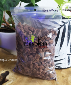 Pouzzolane meilleur prix Maroc | Fournisseur Pouzzolane Maroc | Sac pouzzolane Maroc | Sachet pouzzolane Maroc | Pouzzolane jardin et potager maroc | paillage pouzzolane | pouzzolane bag | pouzzolane supplier in Morocco | Best quality pouzzolane in bags in Morocco for gardening | بوزولانا باحسن ثمن في المغرب | كيس البوزولان الزراعية في المغرب | البوزولانا في المغرب