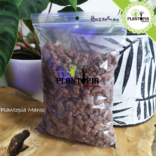 Pouzzolane meilleur prix Maroc | Fournisseur Pouzzolane Maroc | Sac pouzzolane Maroc | Sachet pouzzolane Maroc | Pouzzolane jardin et potager maroc | paillage pouzzolane | pouzzolane bag | pouzzolane supplier in Morocco | Best quality pouzzolane in bags in Morocco for gardening | بوزولانا باحسن ثمن في المغرب | كيس البوزولان الزراعية في المغرب | البوزولانا في المغرب