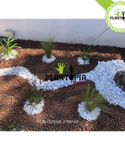 Pouzzolane meilleur prix Maroc | Fournisseur Pouzzolane Maroc | Sac pouzzolane Maroc | Sachet pouzzolane Maroc | Pouzzolane jardin et potager maroc | paillage pouzzolane | pouzzolane bag | pouzzolane supplier in Morocco | Best quality pouzzolane in bags in Morocco for gardening | بوزولانا باحسن ثمن في المغرب | كيس البوزولان الزراعية في المغرب | البوزولانا في المغرب