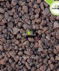 Pouzzolane meilleur prix Maroc | Fournisseur Pouzzolane Maroc | Sac pouzzolane Maroc | Sachet pouzzolane Maroc | Pouzzolane jardin et potager maroc | paillage pouzzolane | pouzzolane bag | pouzzolane supplier in Morocco | Best quality pouzzolane in bags in Morocco for gardening | بوزولانا باحسن ثمن في المغرب | كيس البوزولان الزراعية في المغرب | البوزولانا في المغرب