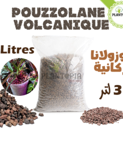 Pouzzolane meilleur prix Maroc | Fournisseur Pouzzolane Maroc | Sac pouzzolane Maroc | Sachet pouzzolane Maroc | Pouzzolane jardin et potager maroc | paillage pouzzolane | pouzzolane bag | pouzzolane supplier in Morocco | Best quality pouzzolane in bags in Morocco for gardening | بوزولانا باحسن ثمن في المغرب | كيس البوزولان الزراعية في المغرب | البوزولانا في المغرب