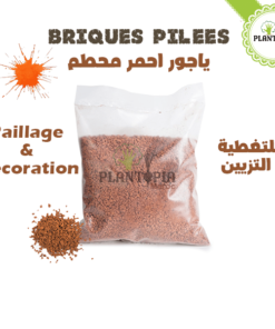 briques pilées jardin - briques pilées maroc - briques concassées jardin - brique concassées maroc - paillage jardin et pot maroc - ياجور احمر برتقالي لتغطية التربة والتزيين
