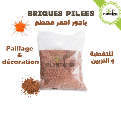 briques pilées jardin - briques pilées maroc - briques concassées jardin - brique concassées maroc - paillage jardin et pot maroc - ياجور احمر برتقالي لتغطية التربة والتزيين