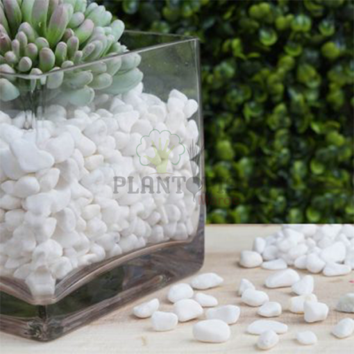 Sachet galets blanc maroc | galets blancs jardin pots maroc | galets blanc marbre naturels au Maroc | galets balnc paillage et decoration de jardin au Maroc | حجر ابيض لتغطية التربة و التزيين للنباتات في المغرب | رخام ابيض طبيعي في المغرب