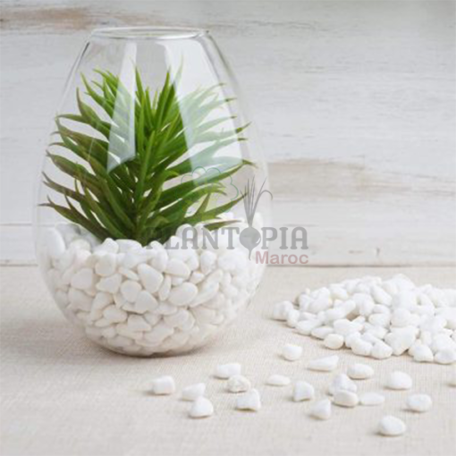 Sachet galets blanc maroc | galets blancs jardin pots maroc | galets blanc marbre naturels au Maroc | galets balnc paillage et decoration de jardin au Maroc | حجر ابيض لتغطية التربة و التزيين للنباتات في المغرب | رخام ابيض طبيعي في المغرب