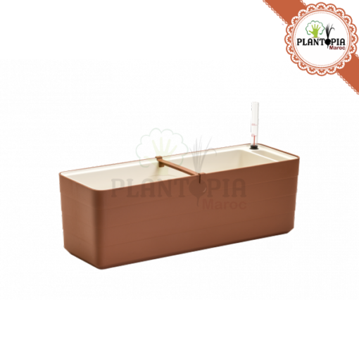 Jardinière Maroc | Fournisseur pots et jardinières MAroc | Jardiniere auto arrosage maroc | jardiniere reserve d'eau maroc | terracotta maroc | hydroponie maroc | بوكس نباتات بسقي ذاتي في المغرب | حاوية الزراعة في المغرب | حاويات زراعية في المغرب | بيع المحابق في المغرب | بيع اصيص اصص الزراعة المبزلية في المغرب