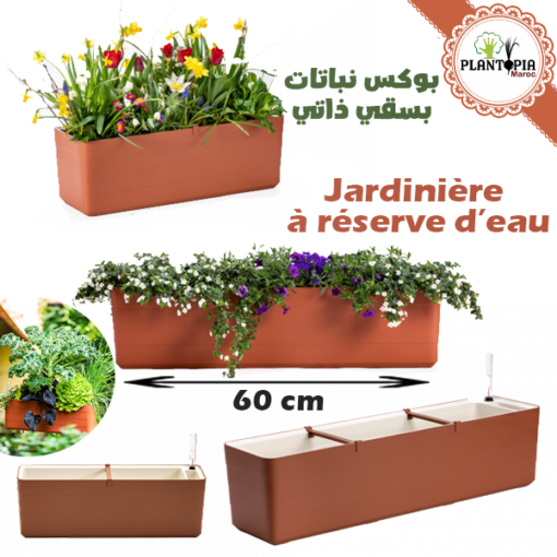 Jardinière Maroc | Fournisseur pots et jardinières MAroc | Jardiniere auto arrosage maroc | jardiniere reserve d'eau maroc | terracotta maroc | hydroponie maroc | بوكس نباتات بسقي ذاتي في المغرب | حاوية الزراعة في المغرب | حاويات زراعية في المغرب | بيع المحابق في المغرب | بيع اصيص اصص الزراعة المبزلية في المغرب