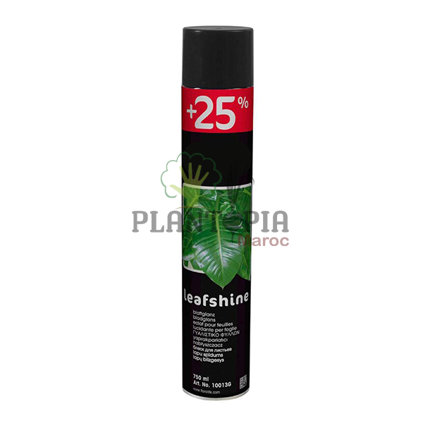 spray lustrant polisseur et nettoyant des feuilles des plantes au Maroc | Plant leaves shiner in Morocco at best price and best quality | entretien plantes en pot Maroc | brillant feuilles plantes maroc | nettoyer feuilles des plantes | ملمع الاوراق في المغرب | بيع ملمع اوراق النباتات في المغرب