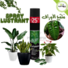 spray lustrant polisseur et nettoyant des feuilles des plantes au Maroc | Plant leaves shiner in Morocco at best price and best quality | entretien plantes en pot Maroc | brillant feuilles plantes maroc | nettoyer feuilles des plantes | ملمع الاوراق في المغرب | بيع ملمع اوراق النباتات في المغرب