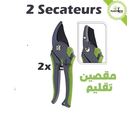 pack 2 secateurs meilleur prix Maroc | secateur jardin | outils jardin | مقصين لتقليم النباتات في المغرب