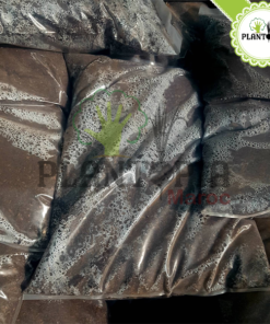 Terreau - Terreau bio - تربة غنية - Terreau Maroc - Compost Atlas - Substrat universel - Plantopia Maroc