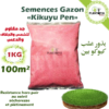 graines gazon - semences gazon kikuyu -gazon kikuyu - kikuyu grass - kikuyu lawn - gazon soleil - بذور عشب مقاوم - pepiniere dakhla - jardinerie dakhla - مشتل الداخلة - pepiniere - jardinerie