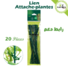 lien plantes maroc - attache plantes maroc - plantopi amaroc - رابط دعم