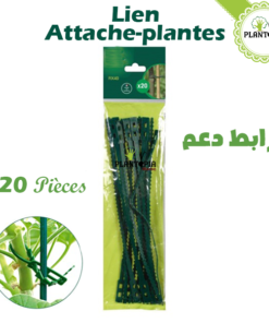 lien plantes maroc - attache plantes maroc - plantopi amaroc - رابط دعم