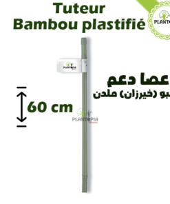 tuteur bambou plastifie maroc - tuteur - plantopia maroc