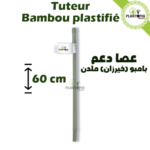 tuteur bambou plastifie maroc - tuteur - plantopia maroc