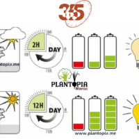 Projecteur de jardin à energie solaire