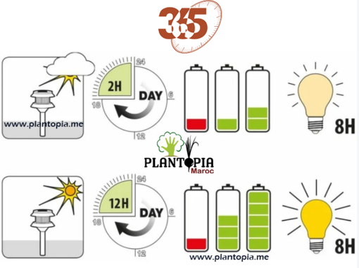 Projecteur de jardin à energie solaire