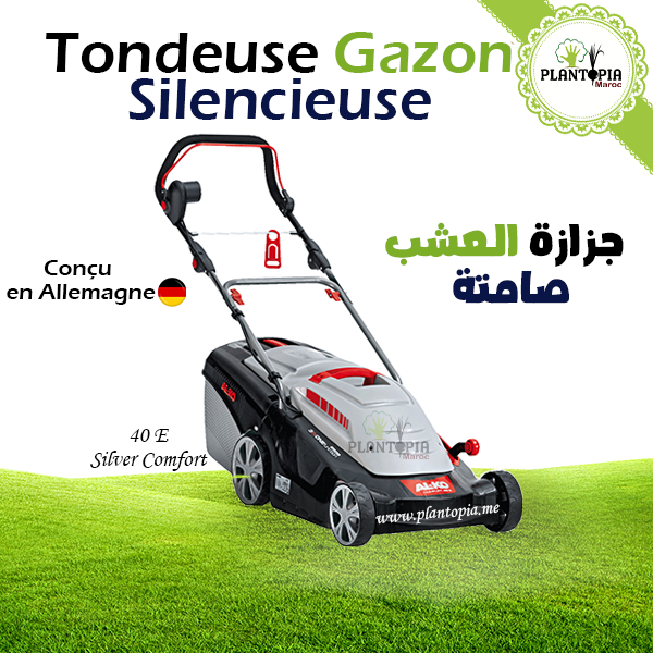 Tondeuse à gazon