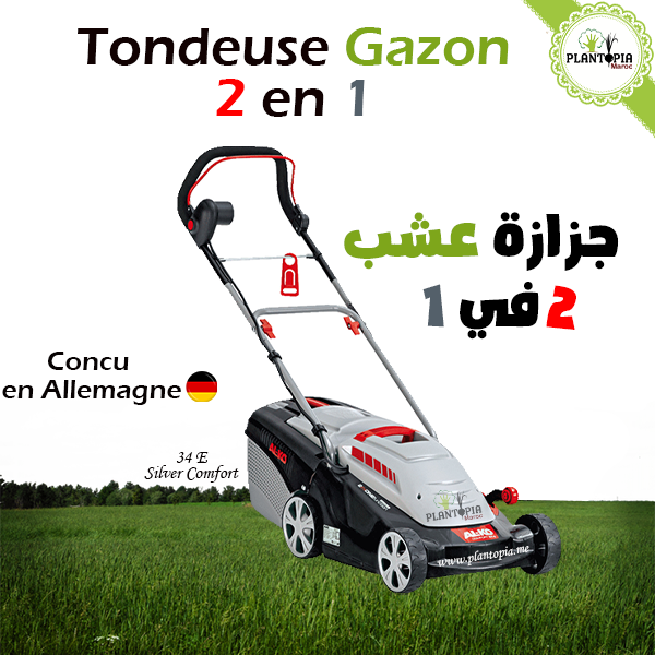 Tondeuse à gazon électrique