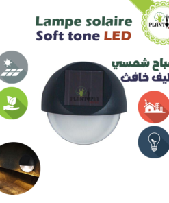 lampe solaire LED - lumiere solaire - lampe a energie solaire pour jardin - solar LED - Plantopia Maroc