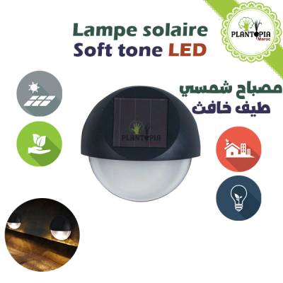 lampe solaire LED - lumiere solaire - lampe a energie solaire pour jardin - solar LED - Plantopia Maroc