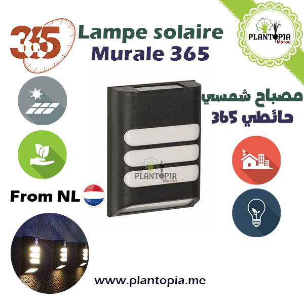 Lampe solaire - Murale 356 - Plantopia Maroc