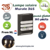 lampe solaire murale - lampe LED solaire pour mur - lumière LED solaire jardin mur - plantopia Maroc - مصباح شمسي بالطاقة الشمسية حائطي للحديقة
