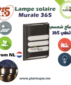 lampe solaire murale - lampe LED solaire pour mur - lumière LED solaire jardin mur - plantopia Maroc - مصباح شمسي بالطاقة الشمسية حائطي للحديقة