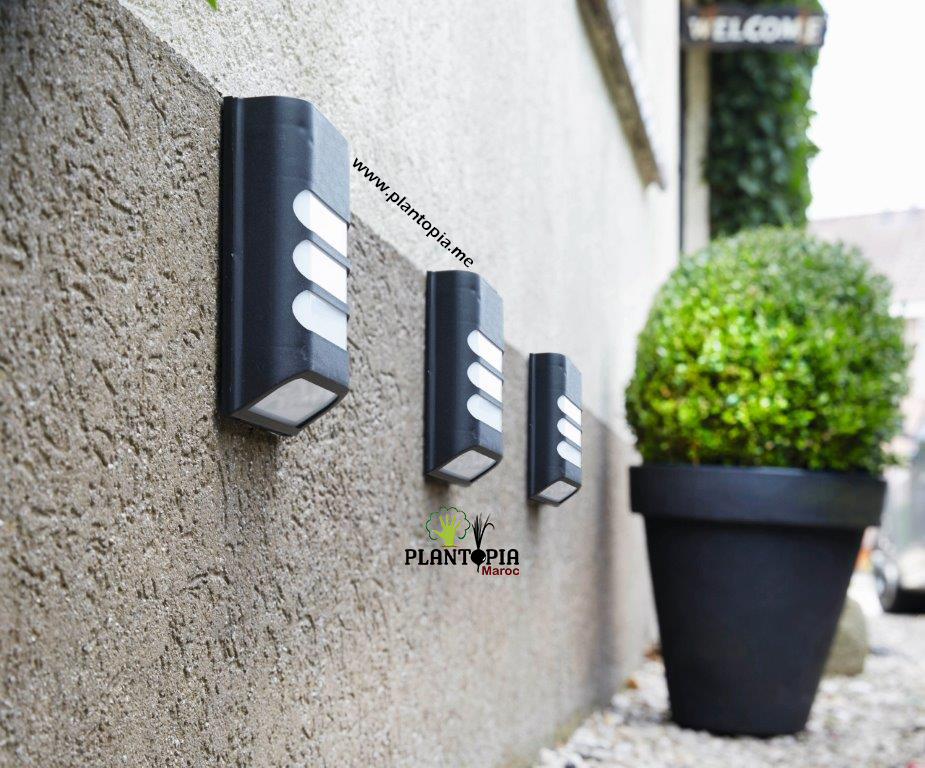 lampe solaire murale tanger - lampe LED solaire pour mur kenitra - lumière LED solaire jardin mur agadir - plantopia Maroc - مصباح شمسي بالطاقة الشمسية حائطي للحديقة