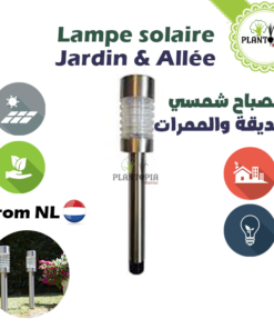 Lampe solaire - Jardin & Allée - Plantopia Maroc [ Eclairage solaire