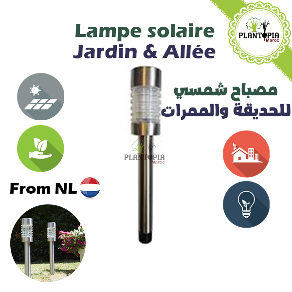 FEIFEIER Lumières de bassin solaire avec Maroc