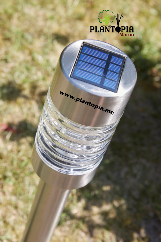 Lampe LED solaire de jardin