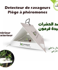 piege à pheromone maroc - detecteur de revageurs de culture au maroc - delta trap - koppert biological systems maroc - plantopia maroc