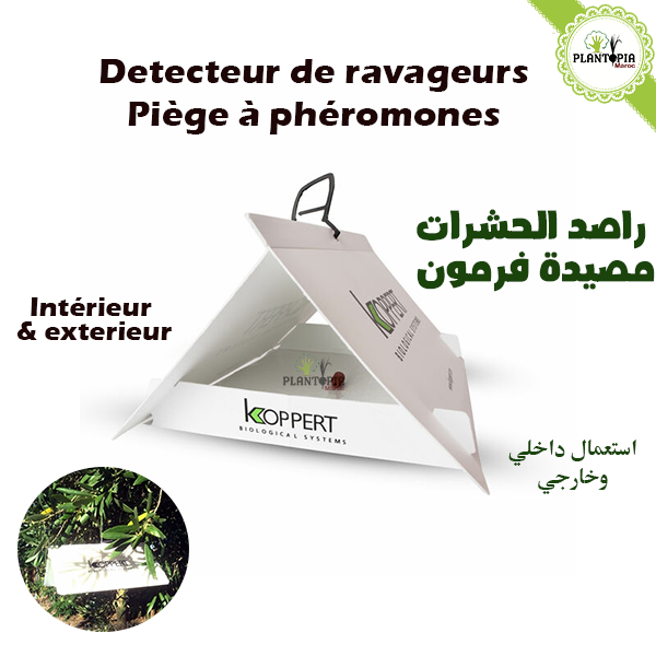 piege à pheromone maroc - detecteur de revageurs de culture au maroc - delta trap - koppert biological systems maroc - plantopia maroc