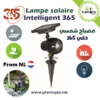 proecteur energie solaire - projecteur jardin - projecteur LED - projecteur solaire - lampe solaire projecteur LED - Plantopia MAroc - مصباح الطاقة الشمسية للحديقة