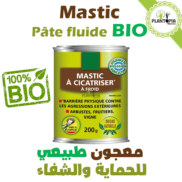 Mastic à cicatriser - Protection de blessures et tailles