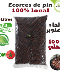 Ecorces de pin marocain pour paillage - pin marocain - ecorces de pin paillis - ecorces de pin jardinage - ecorces de pin pantopia maroc - لحاء الصنوبر المغربي