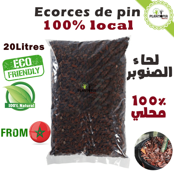 Ecorces de pin marocain pour paillage - pin marocain - ecorces de pin paillis - ecorces de pin jardinage - ecorces de pin pantopia maroc - لحاء الصنوبر المغربي