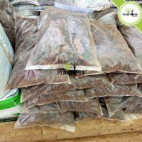 ecorces de pin pour jardinage et paillage - ecorces de pin maritime local