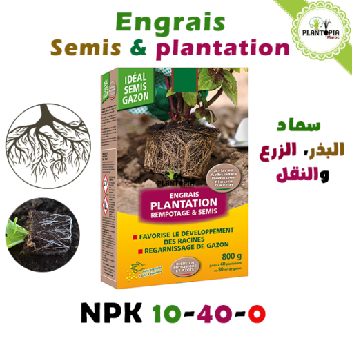 Engrais special semis bouturage et plantation - engrais npk 10 40 0 semis et enracinement - engrais enrecineur - plantopia hormone engrais - سماد البذر الزرع والنقل