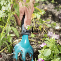 fourchette prix - outils jardinage maroc - potager maroc - outils jardinage prix - شوكة الزهور - plantopia maroc