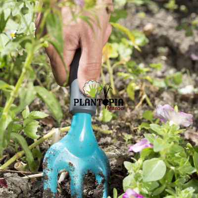 fourchette prix - outils jardinage maroc - potager maroc - outils jardinage prix - شوكة الزهور - plantopia maroc