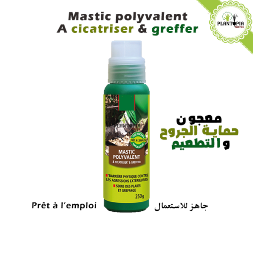 mastic masso garden - mastic polyvalent - mastic à cicatriser et greffer - التطعيم - plantopia maroc - entretien jardin maroc - jardinage bio maroc