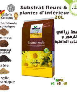 Terreau plantes vertes et plantes d'interieur UAB - Floragard