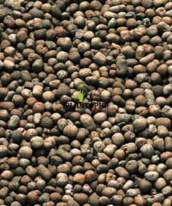 clays balls morocco - clay pebbles morocco - billes d'argile prix - substrat hydroponie maroc