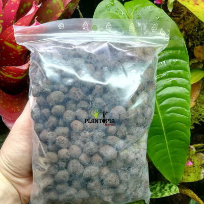ثمن كرات الطين الزراعية - كرات الطين للزراعة المائية في المغرب - grossiste billes d'argile maroc - plantopia maroc