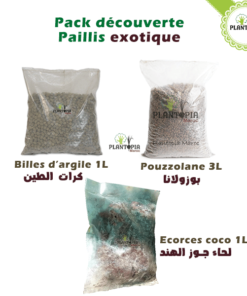 Billes d'argile naturelles pour paillage et drainage - Plantopia Maroc